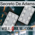 Adams Secret 17